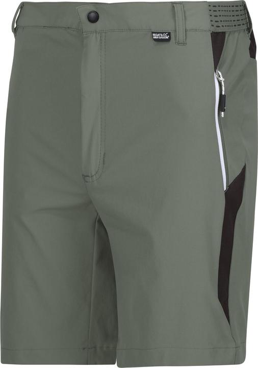 Regatta Mountain II Shorts