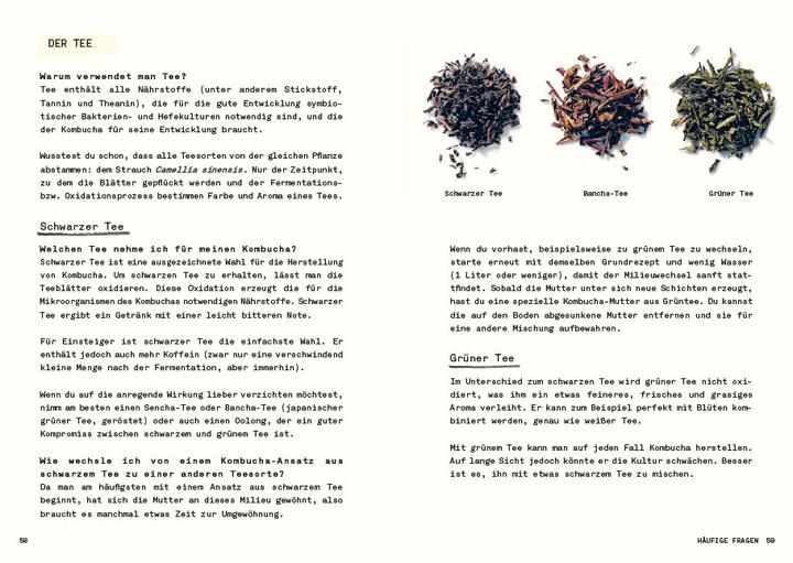 Immagine prodotto Kombucha do it yourself (Tedesco, Julie Ponge, 2023)