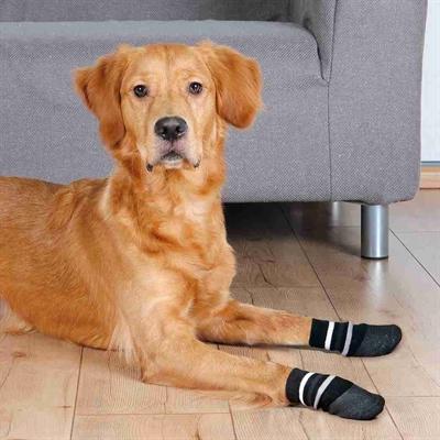 Produktbild Trixie Hundesocken Grösse L schw. (L, Hundesocken)