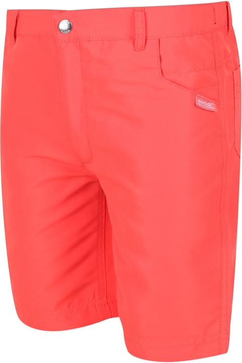 Actual product image Regatta Sorcer II Shorts (164)