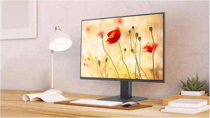 Actual product image BenQ GW2491 IPS 100HZ 24IN MONITOR (1920 x 1080 pixels, 24")