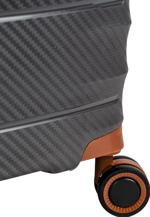 Actual product image Swissbags Prestige (105 l, M (50 - 90l), L (90 - 115l))