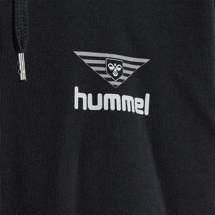 Actual product image hummel Hmlhive Wade Hoodie (L)