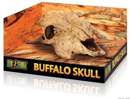 Exo Terra EXOTERRA - Cave Buffalo Skull - (222.2057)