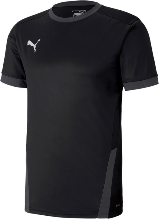 Puma teamGOAL 23 Jersey-704171 (S)