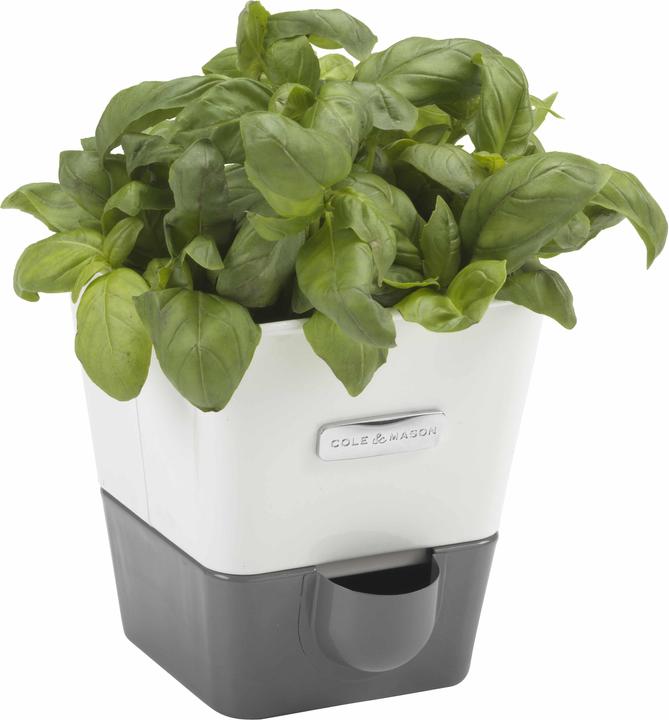 Cole & Mason Kräutertopf (14 cm)