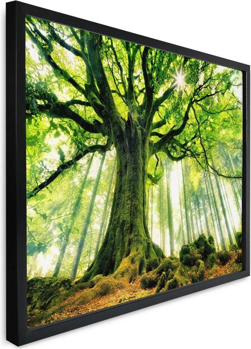 Immagine prodotto Trenddeko Kiciak - Foresta delle fiabe (30 x 24 cm)