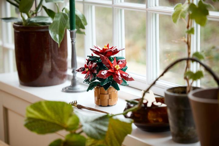 Productafbeelding LEGO Kerstster (10370, LEGO Icons)