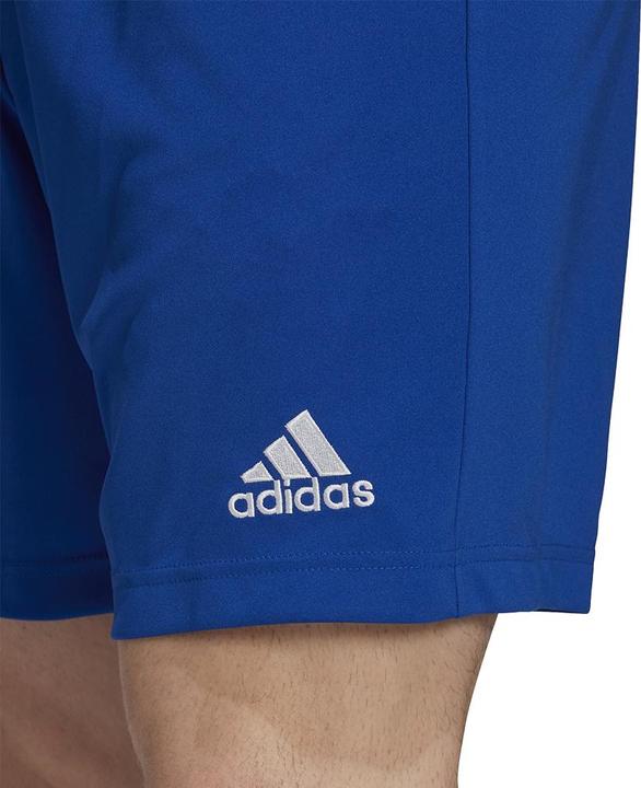 Actual product image adidas Entrada 22 Shorts Men (M)