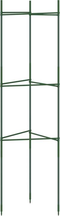 Produktbild VidaXL Tomatenkäfig 2 Stk. 116 cm und PP