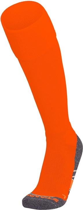 Actual product image Stanno Uni Socke Ii (41, 44)