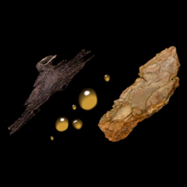 Image du produit Sebastian Huile foncée (250 ml, Shampoing liquide)