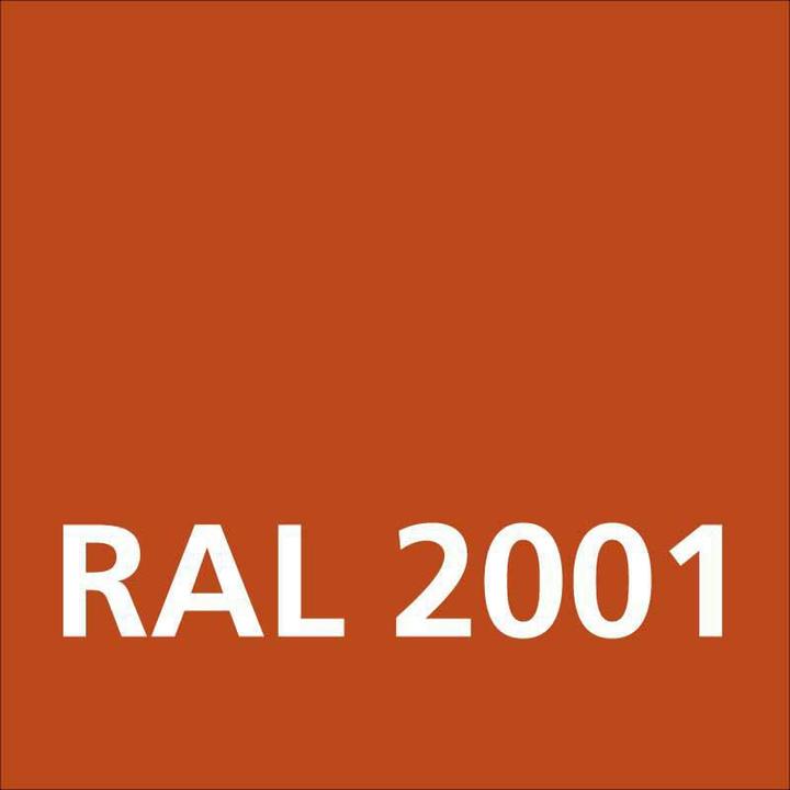 Immagine prodotto Dupli-Color Vernice acrilica lucida RAL 2001 rosso arancio (Rosso arancione, 0.40 l)