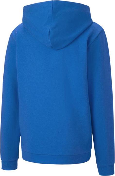 Image du produit Puma teamGOAL 23 Casuals Hoody Jr-656711 (128)