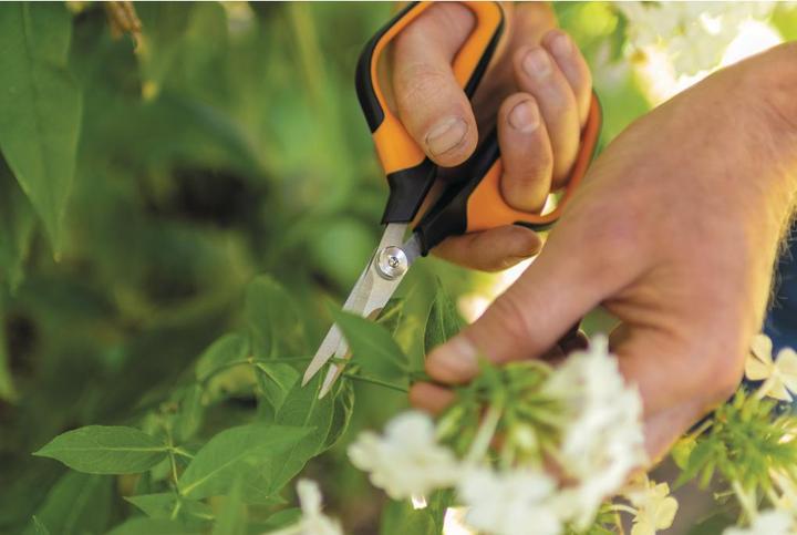 Produktbild Fiskars Solid snip pruning shears SP15