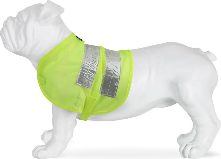 Image du produit Regatta Gilet pour chien réfléchissant (Gilet pour chien)