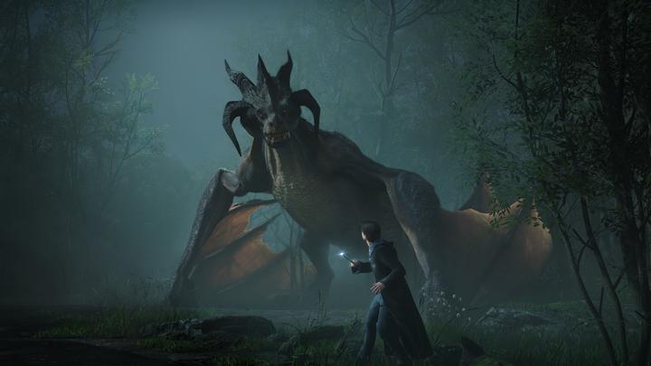 Image du produit WB L'héritage de Poudlard (PS4, EN)