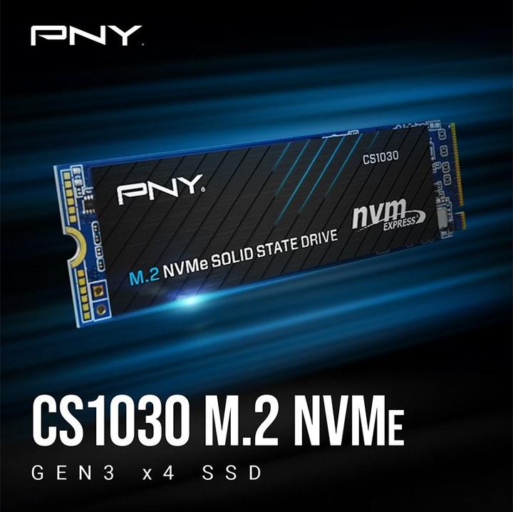 Immagine prodotto PNY CS1030 (500 GB, M.2 2280)