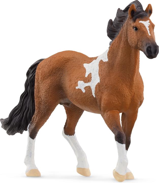 Actual product image Schleich Mangalarga Marchador Stallion