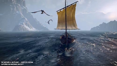 Produktbild Bandai Namco The Witcher 3: Wild Hunt (Switch, DE)