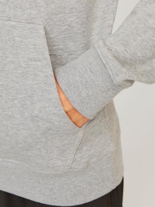 Actual product image Jack & Jones Jcooutdoor Logo Sweat Hood Sn (M)