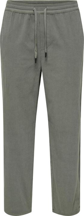 Gris Castor Gray