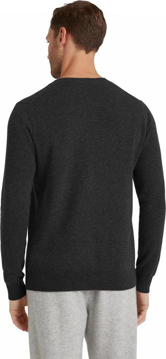 Immagine prodotto Falke LU Classic V-Neck m (XXL)