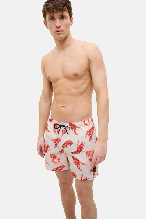 Actual product image Jack & Jones Badehose MAUI Schwimm-Shorts (XXL)