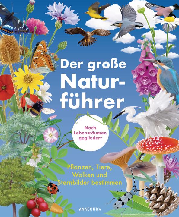 Produktbild Der grosse Naturführer. Pflanzen, Tiere, Wolken und Sternbilder bestimmen. Nach Lebensräumen (Deutsch, Xavier Nitsch, Blandine Pluchet, Morgane Peyrot, 2022)