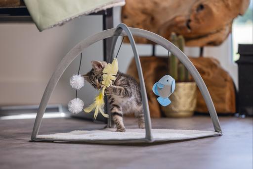 Produktbild Beeztees Bz Kitten Spielmatte Xabia Gra (Katzenminzespielzeug)