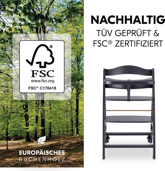 Actual product image Hauck Beta+ (Highchair)