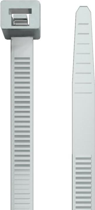 Image du produit Weidmüller Serre-câbles à denture intérieure (Serre-câbles en plastique, 430 mm, 100 pcs)