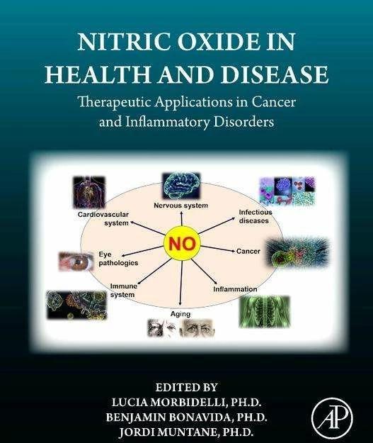 Produktbild Nitric Oxide in Health and Disease (Englisch, 2023)