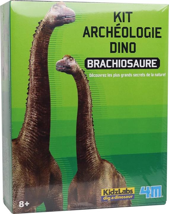 Actual product image 4M Dinosaur Excavation Brachiosaurus