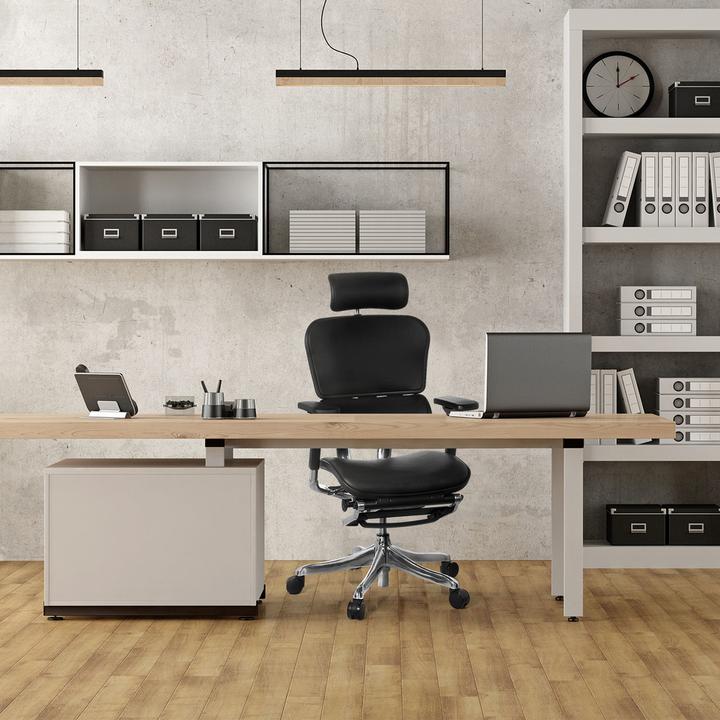 Actual product image Hjh Office Ergohuman Plus Legpro