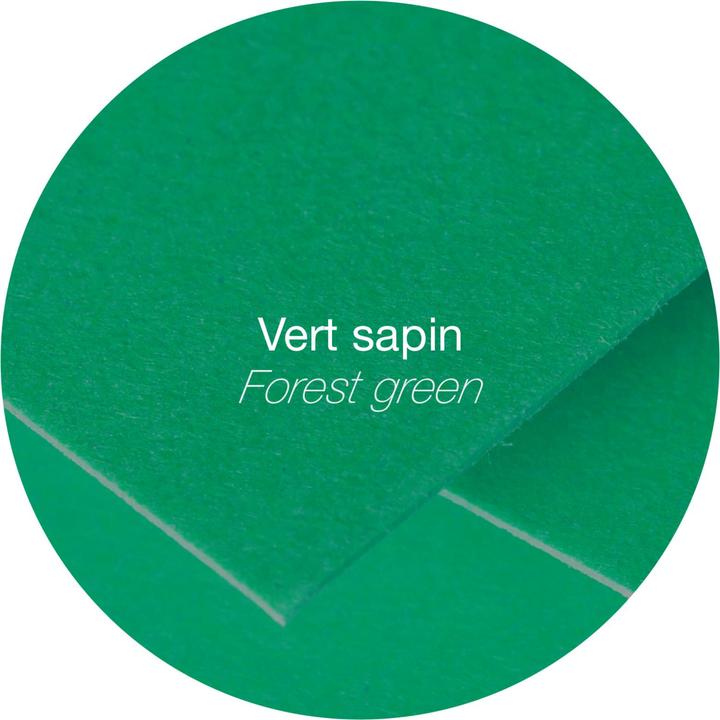 Immagine prodotto Pollen Papier (120 g/m², 5 x, A4)