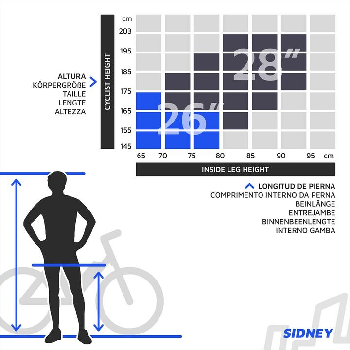 Immagine prodotto Urbanbiker Sidney PLUS 23 City E-Bike