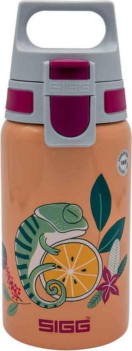 Image du produit Sigg Shield One (0.50 l)