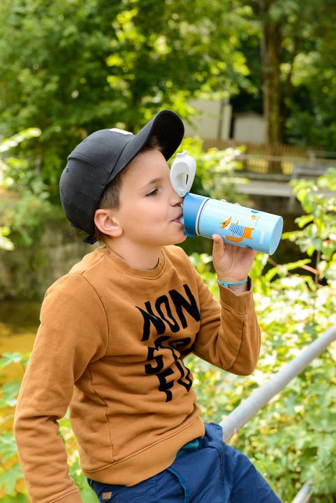 Actual product image Sigg Miracle (0.40 l)