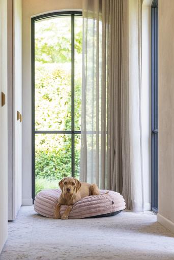 Actual product image Designed by Lotte Reza reclining cushion (Dog)