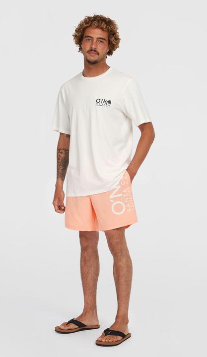 Actual product image O'Neill Original Cali 16" Swimshorts (L)