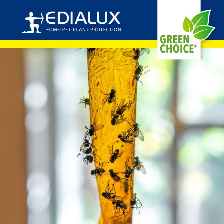 Produktbild Edialux Green Choice - Fliegenschn?pper, 4 St?ck