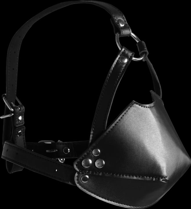 Produktbild Ouch! Head Harness with Mouth Cover and Solid Ball Gag