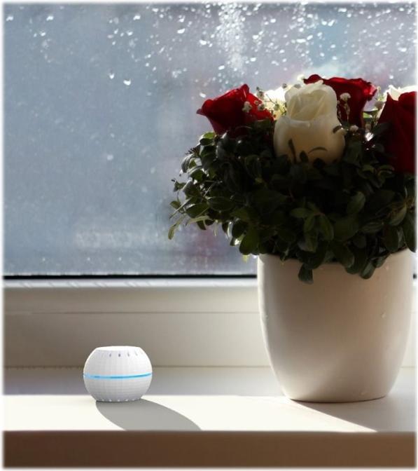Produktbild Shelly WLAN Luftfeuchte und Temperatursensor H&T