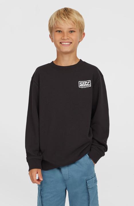 Image du produit O'Neill Logo Crew (104)