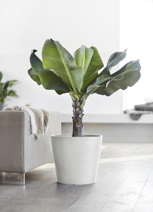 Produktbild Ecopots Amsterdam (26.30 cm)