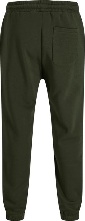 Actual product image Jack & Jones Regular Fit Relaxed Fit Hosen Relaxed Fit Hosen (XS)