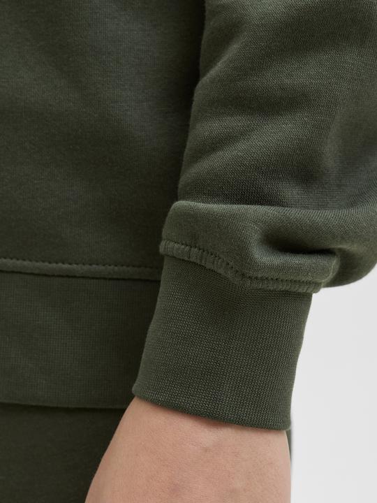 Actual product image Jack & Jones Gedruckt Sweatshirt Junior Sweatshirt (128)