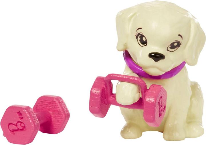 Immagine prodotto Barbie Preparatore atletico con attrezzatura da esterno