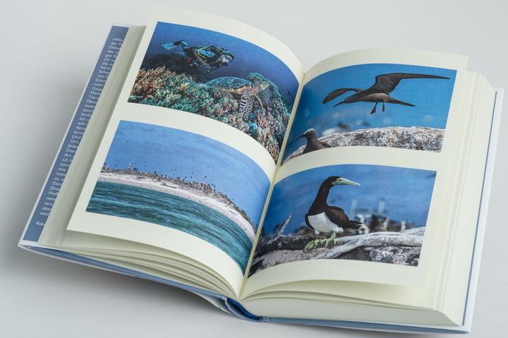 Actual product image Mission Erde – Die Welt ist es wert, um sie zu kämpfen (German, Robert Marc Lehmann, 2021)